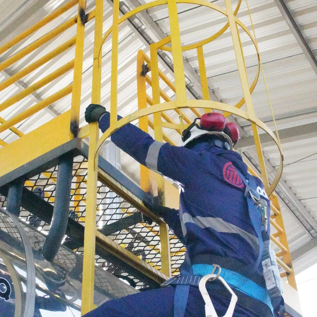 Equipe executando instalação de sistema de segurança em altura